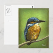 Carte Postale Kingfisher (Devant / Derrière)