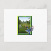 Carte Postale Kingfisher (Devant)