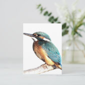 Carte Postale "Kingfisher" (Debout devant)