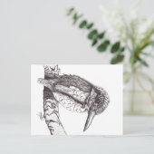 CARTE POSTALE KINGFISHER (Debout devant)