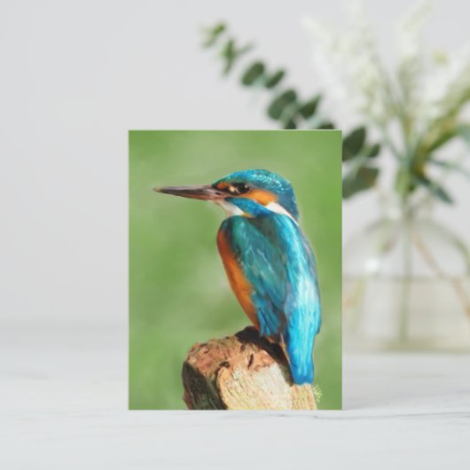 Carte Postale Kingfisher (Debout devant)