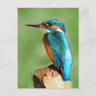 Carte Postale Kingfisher
