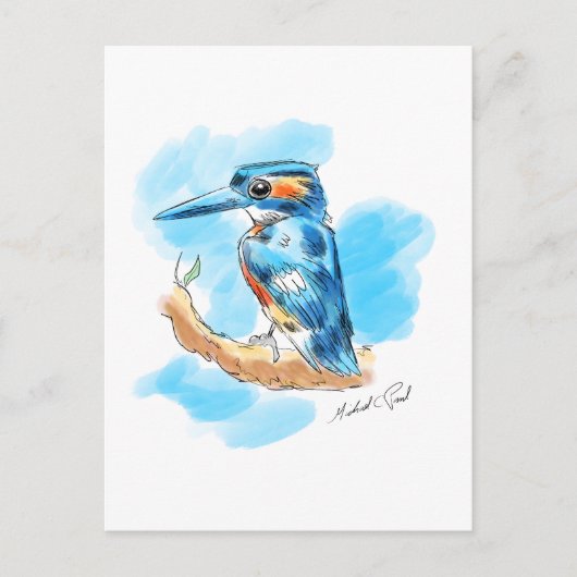 Carte Postale Kingfisher (Devant)