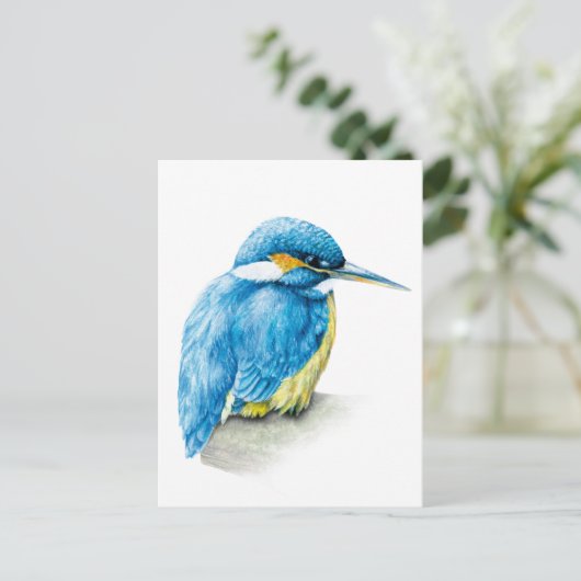 Carte postale Kingfisher fine art (Debout devant)