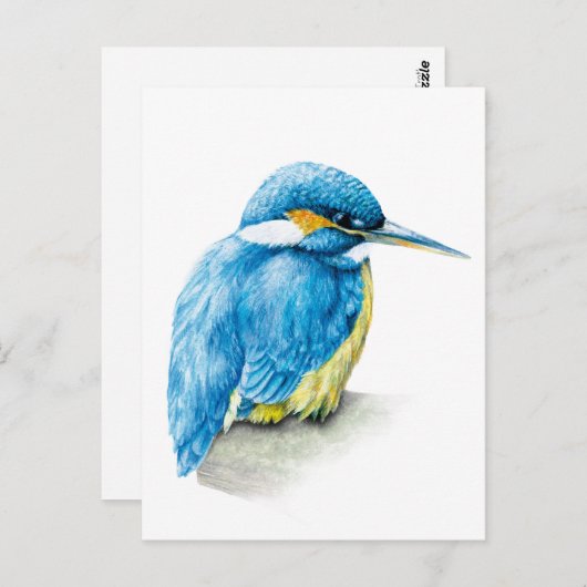 Carte postale Kingfisher fine art (Devant / Derrière)