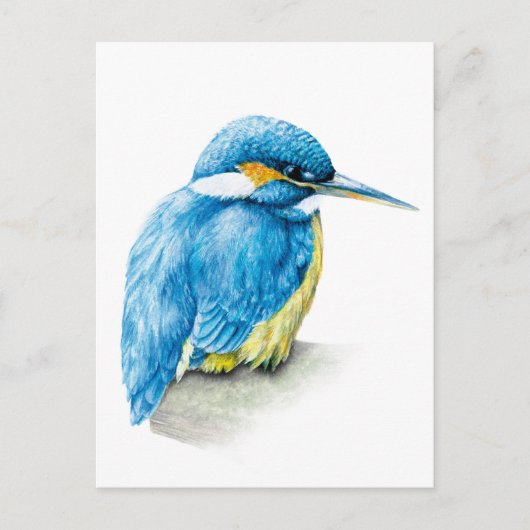 Carte postale Kingfisher fine art (Devant)