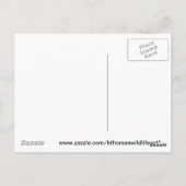 Carte Postale Kingfisher Merchandises (Dos)