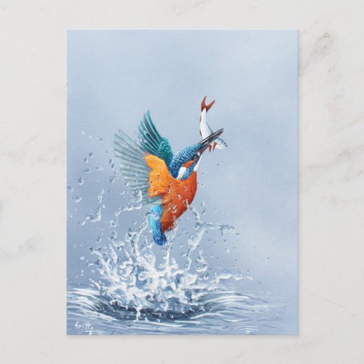 Carte Postale Kingfisher qui sort de l'eau (Devant)