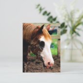 Carte Postale Kings Fancy Girl (Debout devant)