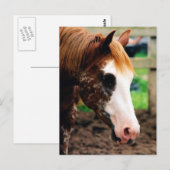 Carte Postale Kings Fancy Girl (Devant / Derrière)