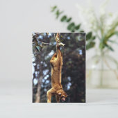 Carte Postale Kinkajou (Potos flavus) (Debout devant)