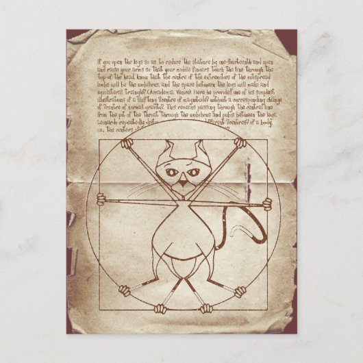 Carte postale Kinky Vitruvian Kitty (Devant)