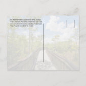 Carte Postale Kirby Storter Boardwalk, Big Cypress NP, Floride (Dos)