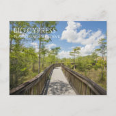 Carte Postale Kirby Storter Boardwalk, Big Cypress NP, Floride (Devant)