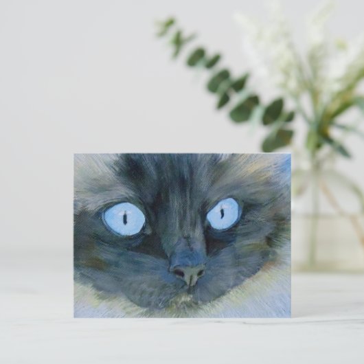Carte Postale Kismet le chat Ragdoll (Debout devant)