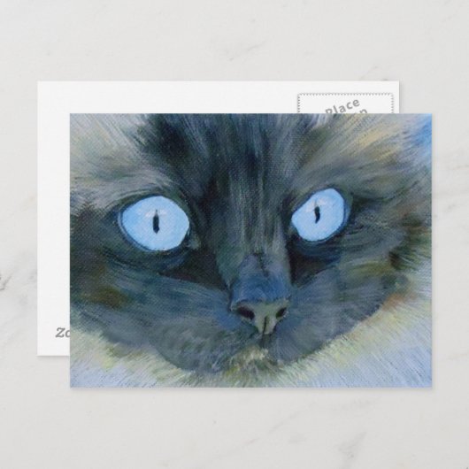 Carte Postale Kismet le chat Ragdoll (Devant / Derrière)