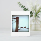 Carte postale KISS (Debout devant)