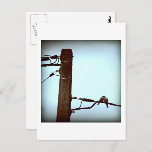 Carte postale KISS (Devant / Derrière)