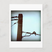 Carte postale KISS (Devant)