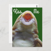 Carte Postale Kiss Me Fish (Devant / Derrière)