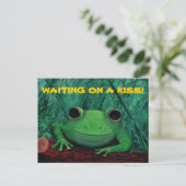 Carte Postale KISS MOI ! (Conception de grenouilles) ~ (Debout devant)