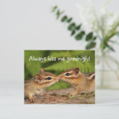 Carte postale Kissing Baby Chipmunks (Debout devant)