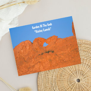 Carte postale "Kissing Camels" du Garden Of The Go