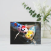 Carte Postale Kissing fish (Debout devant)