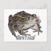 Carte Postale Kissing Frog - Pucker Up, Chéri! (Devant)