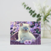 Carte Postale Kit de photo personnalisable Chatons Fleurs de lil (Debout devant)