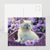 Carte Postale Kit de photo personnalisable Chatons Fleurs de lil (Devant / Derrière)