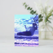 Carte postale Kite Surfing (Debout devant)