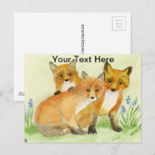 Carte Postale Kits Fox (Devant / Derrière)
