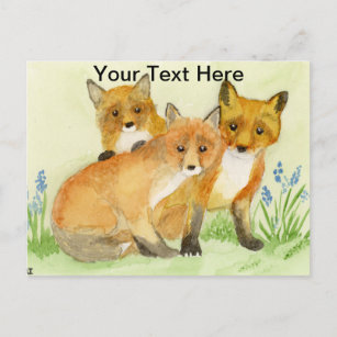 Carte Postale Kits Fox