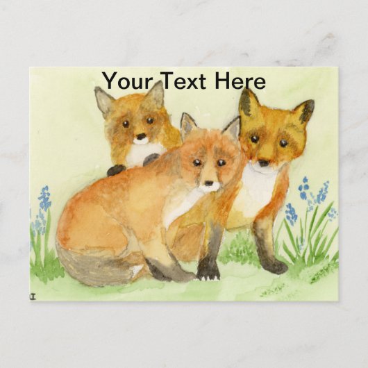Carte Postale Kits Fox (Devant)