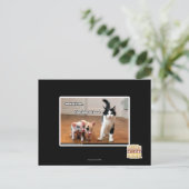 Carte Postale Kitteh (Debout devant)