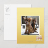 Carte Postale Kitteh carols (Devant / Derrière)