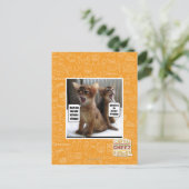Carte Postale Kitteh carols (Debout devant)