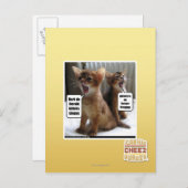 Carte Postale Kitteh carols (Devant / Derrière)