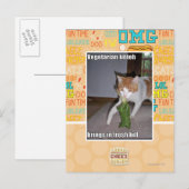 Carte Postale Kitteh végétarien (Devant / Derrière)