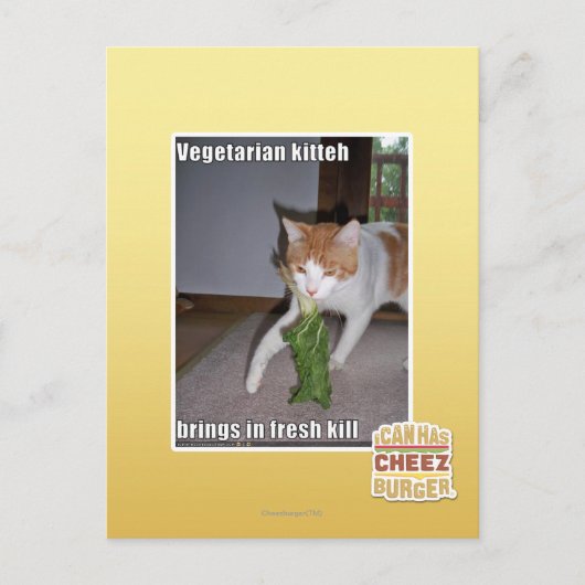 Carte Postale Kitteh végétarien (Devant)