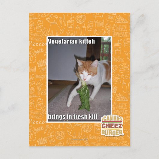 Carte Postale Kitteh végétarien (Devant)