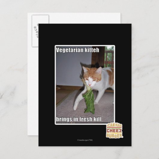 Carte Postale Kitteh végétarien (Devant / Derrière)