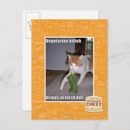 Carte Postale Kitteh végétarien (Devant / Derrière)