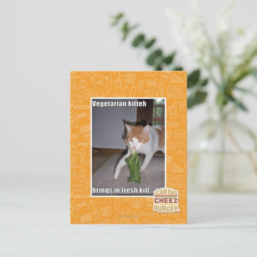 Carte Postale Kitteh végétarien (Debout devant)
