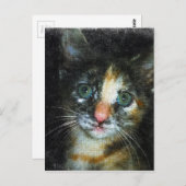Carte Postale Kitten (Devant / Derrière)