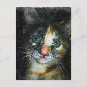 Carte Postale Kitten