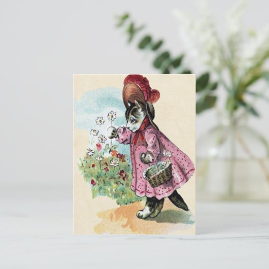 Carte postale Kitten (Debout devant)