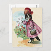 Carte postale Kitten (Devant / Derrière)