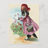 Carte postale Kitten (Devant)